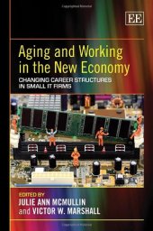 book Aging and Working in the New Economy: Changing Career Structures in Small IT Firms