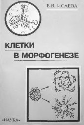 book Клетки в морфогенезе