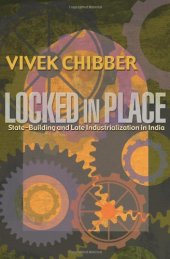 book Locked in Place: State-Building and Late Industrialization in India