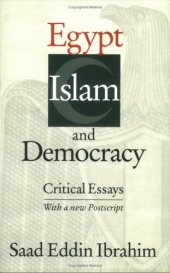 book Egypt, Islam, and Democracy: Critical Essays, With a New Postscript