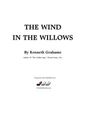 book Wind in the Willows (Childrens Classics)