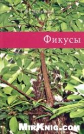 book Фикусы