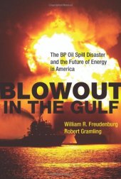 book Blowout in the Gulf: The BP Oil Spill Disaster and the Future of Energy in America