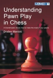 book Understanding Pawn Play in Chess