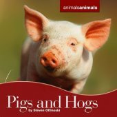 book Pigs and Hogs (Animals Animals)