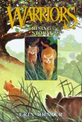 book Rising Storm (Warriors, Book 4)