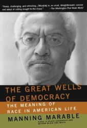 book The Great Wells Of Democracy: The Meaning Of Race In American Life