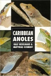 book Caribbean Anoles (Herpetology series)