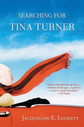 book Searching for Tina Turner