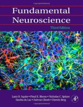 book Fundamental Neuroscience, Third Edition