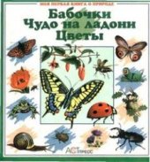 book Бабочки. Чудо на ладони. Моя первая книга о природе.