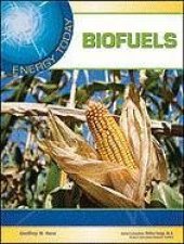 book Biofuels (Energy Today)