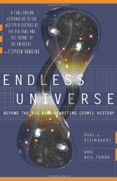 book Endless Universe: Beyond the Big Bang