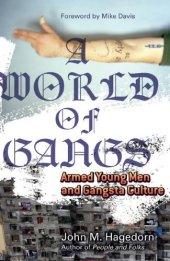 book A World of Gangs: Armed Young Men and Gangsta Culture (Globalization and Community)