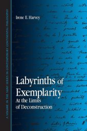 book Labyrinths of Exemplarity: At the Limits of Deconstruction