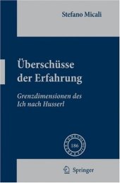 book Überschüsse Der Erfahrung: Grenzdimensionen des Ich nach Husserl