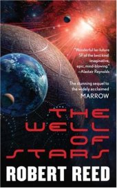 book The Well of Stars