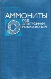 book Аммониты под электронным микроскопом