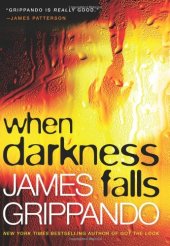 book When Darkness Falls