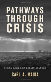 book Pathways through Crisis: Urban Risk and Public Culture