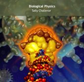 book Biological Physics