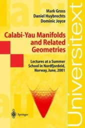 book Calabi-Yau Manifolds and Related Geometries