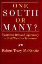 book One South or Many?: Plantation Belt and Upcountry in Civil War-Era Tennessee