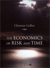 book The Economics of Risk and Time