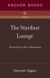 book Stardust Lounge: Stories from a Boy's Adolescence   