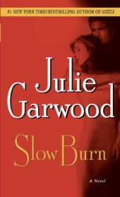 book Slow Burn