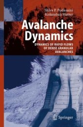 book Avalanche Dynamics