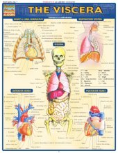 book Viscera Laminated Reference Guide (Quickstudy: Academic)