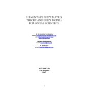 book Elementary Fuzzy Matrix Theory and Fuzzy Models for Social Scientists