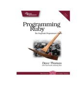 book Programming Ruby 1.9: The Pragmatic Programmers' Guide (Facets of Ruby) 3rd Edition