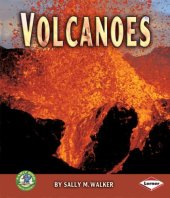 book Volcanoes (Early Bird Earth Science)