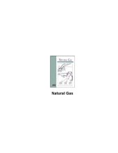 book Natural Gas: Private Sector Participation and Market Development