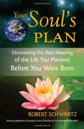 book Your Soul's Plan: Discovering the Real Meaning of the Life You Planned Before You Were Born