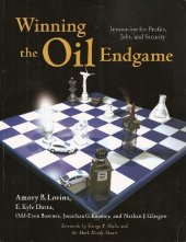 book Winning the Oil Endgame