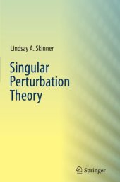 book Singular perturbation theory