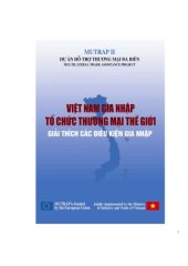 book Việt Nam gia nhập Tổ Chức Thương mại Thế giới: Giải thích các điều kiện gia nhập