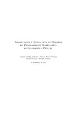 book Formulacion y Resolucion de Modelos de Programacion Matematica en Ingenieria y Ciencia