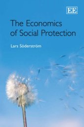 book The Economics of Social Protection