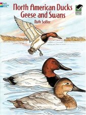 book North American Ducks, Geese and Swans