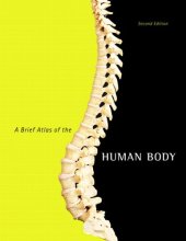 book A Brief Atlas of the Human Body