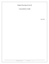 book Rapport du groupe de travail DGS :  Tabagisme passif