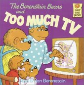 book The Berenstain Bears and Too Much TV