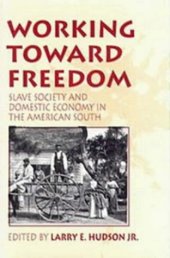 book Working Toward Freedom Slave Society and Domestic Economy in the American South