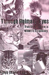 book Through Animals' Eyes: True Stories from a Wildlife Sanctuary