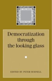 book Democratization through the Looking Glass: Comparative Perspectives on Democratization