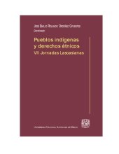 book Pueblos indígenas y derechos étnicos